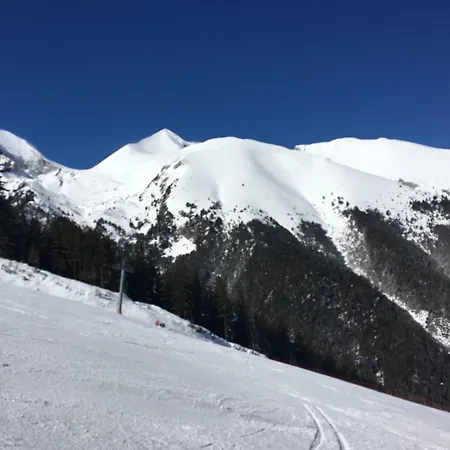 St. Anastasia バンスコ